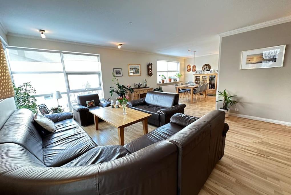 Spacious And Family Friendly Apartment In 雷克雅維克 外观 照片